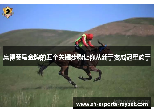 赢得赛马金牌的五个关键步骤让你从新手变成冠军骑手