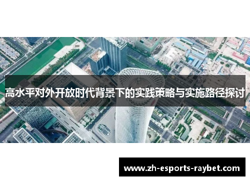 高水平对外开放时代背景下的实践策略与实施路径探讨