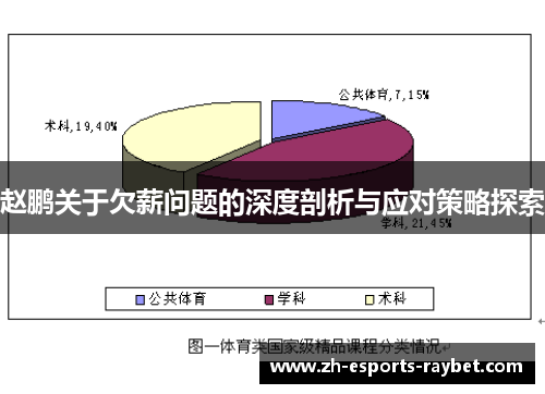 赵鹏关于欠薪问题的深度剖析与应对策略探索