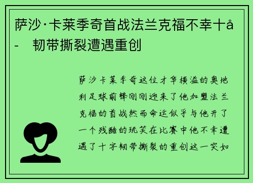 萨沙·卡莱季奇首战法兰克福不幸十字韧带撕裂遭遇重创 萨沙·卡莱季奇首战法兰克福不幸十字韧带撕裂遭遇重创